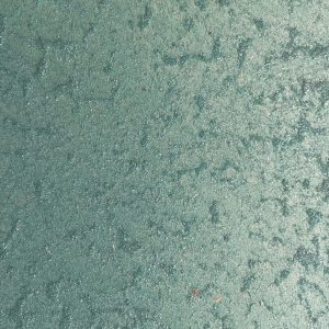 image1004